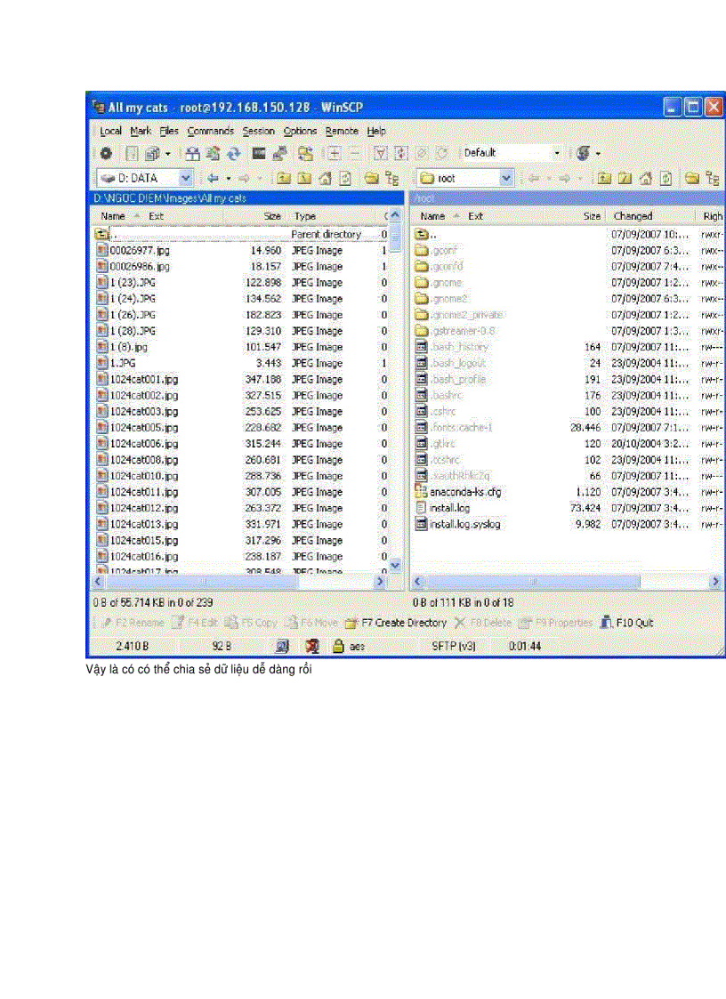 image for page Share dữ liệu giữa Win XP và Linux trong WMWare dùng Win SCP
