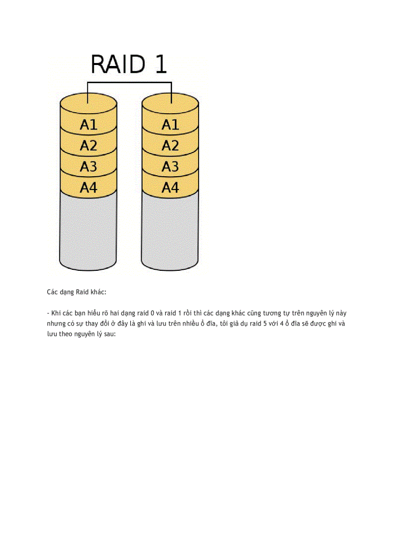image for page Xây dựng hệ thống raid hoàn chỉnh