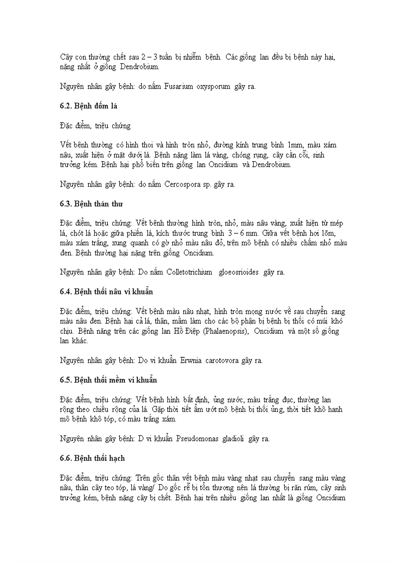 image for page Kỹ thuật trồng và chăm sóc hoa lan