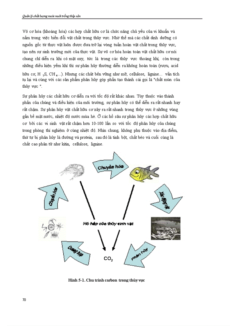 image for page Chương 5 Dinh dưỡng và các quá trình sinh học