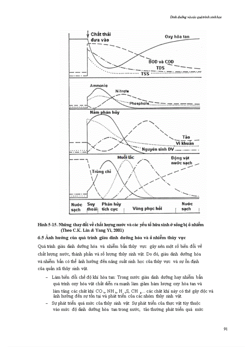 image for page Chương 5 Dinh dưỡng và các quá trình sinh học