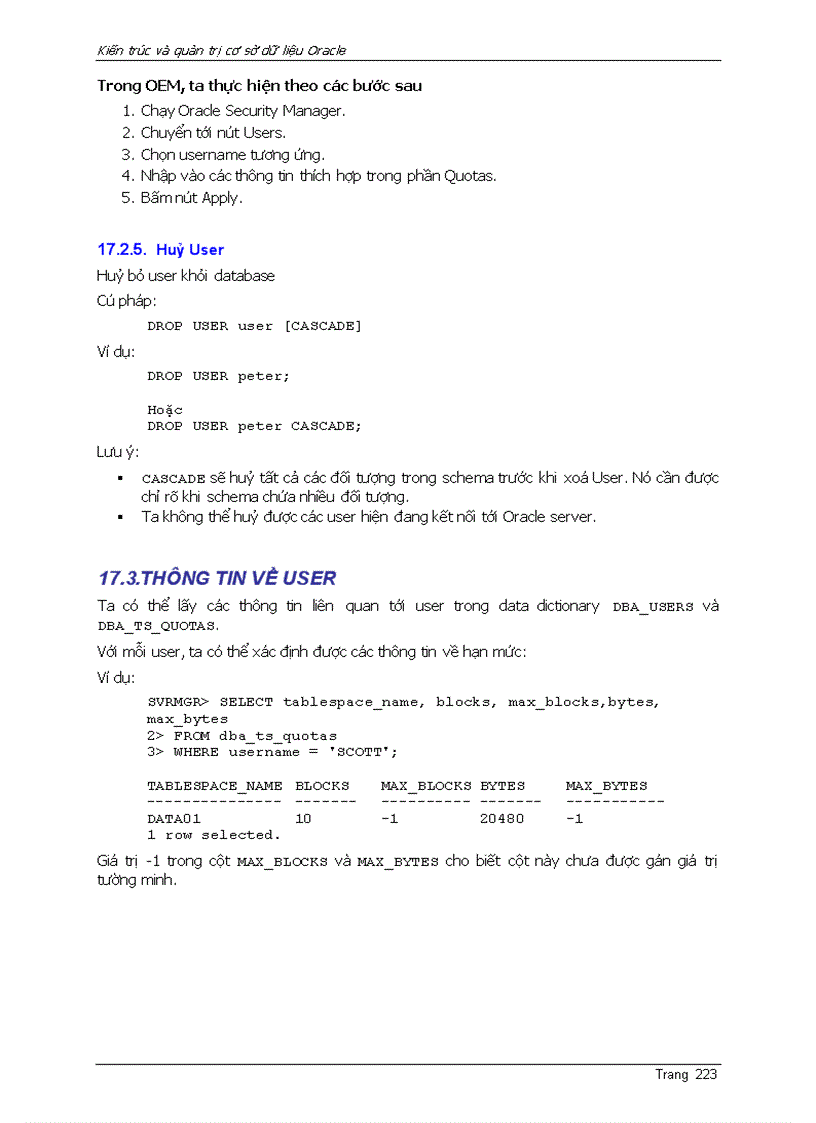 image for page Oracle9i KIẾN TRÚC VÀO QUẢN TRỊ