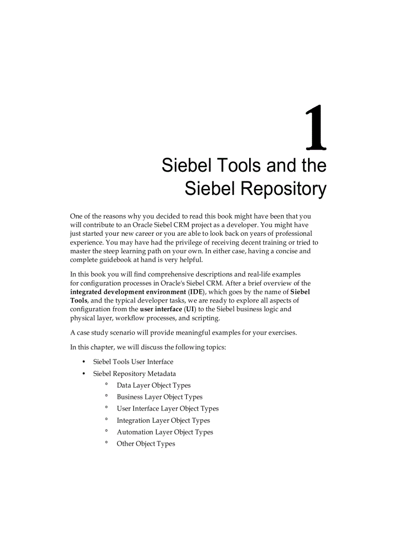 image for page Oracle Siebel CRM 8 Developer s Handbook