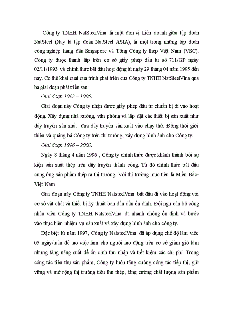 image for page PHÂN TÍCH KẾT QUẢ SẢN XUẤT KINH DOANH CỦA DOANH NGHIỆP Công ty TNHH NatSteelVina