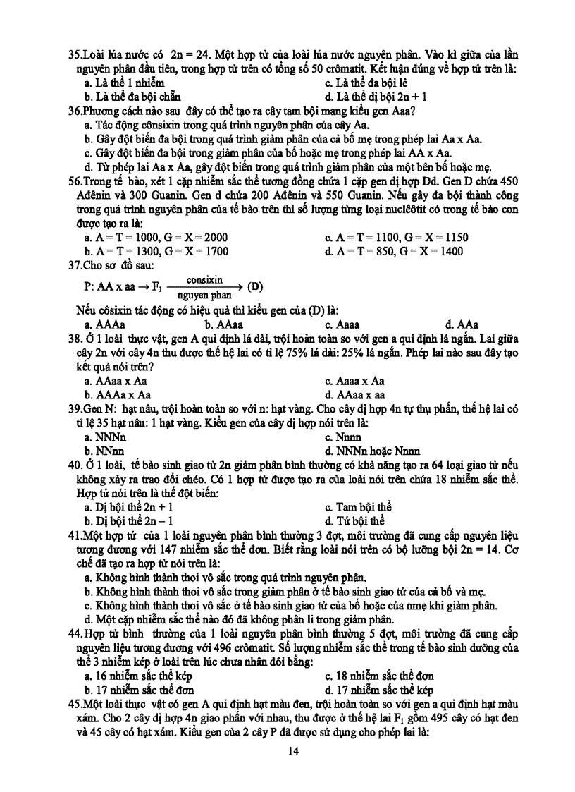 image for page Bài tập Đột biến nhiễm sắc thể
