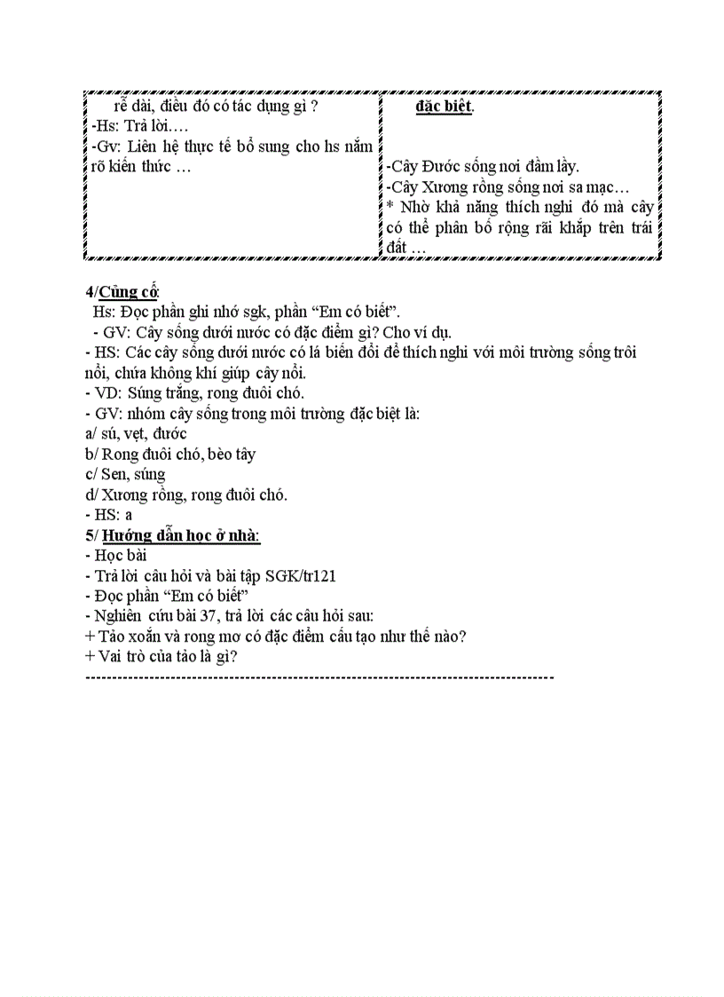 image for page Sinh học TỔNG KẾT CÂY CÓ HOA T2