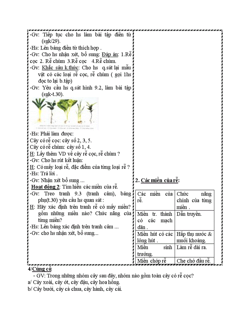 image for page Sinh học CÁC LOẠI RỄ CÁC MIỀN CỦA RỄ