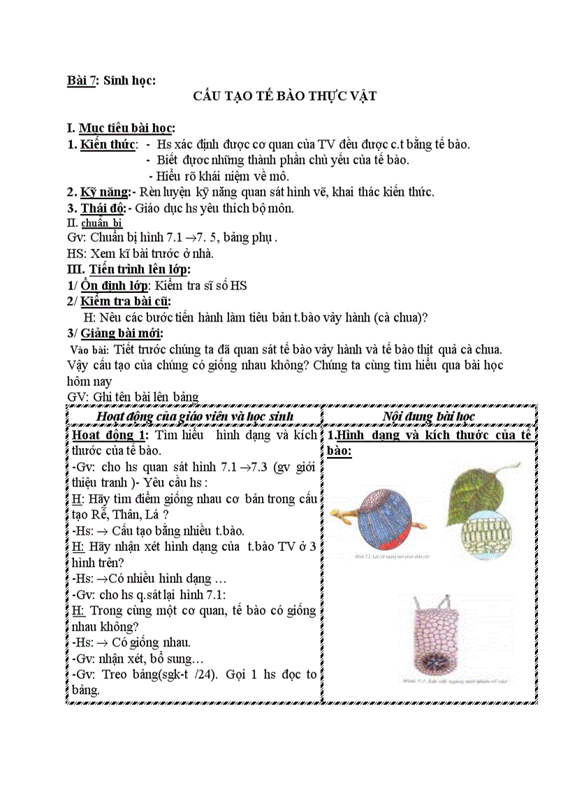 image for page Sinh học CẤU TẠO TẾ BÀO THỰC VẬT