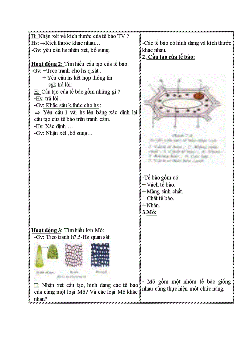 image for page Sinh học CẤU TẠO TẾ BÀO THỰC VẬT