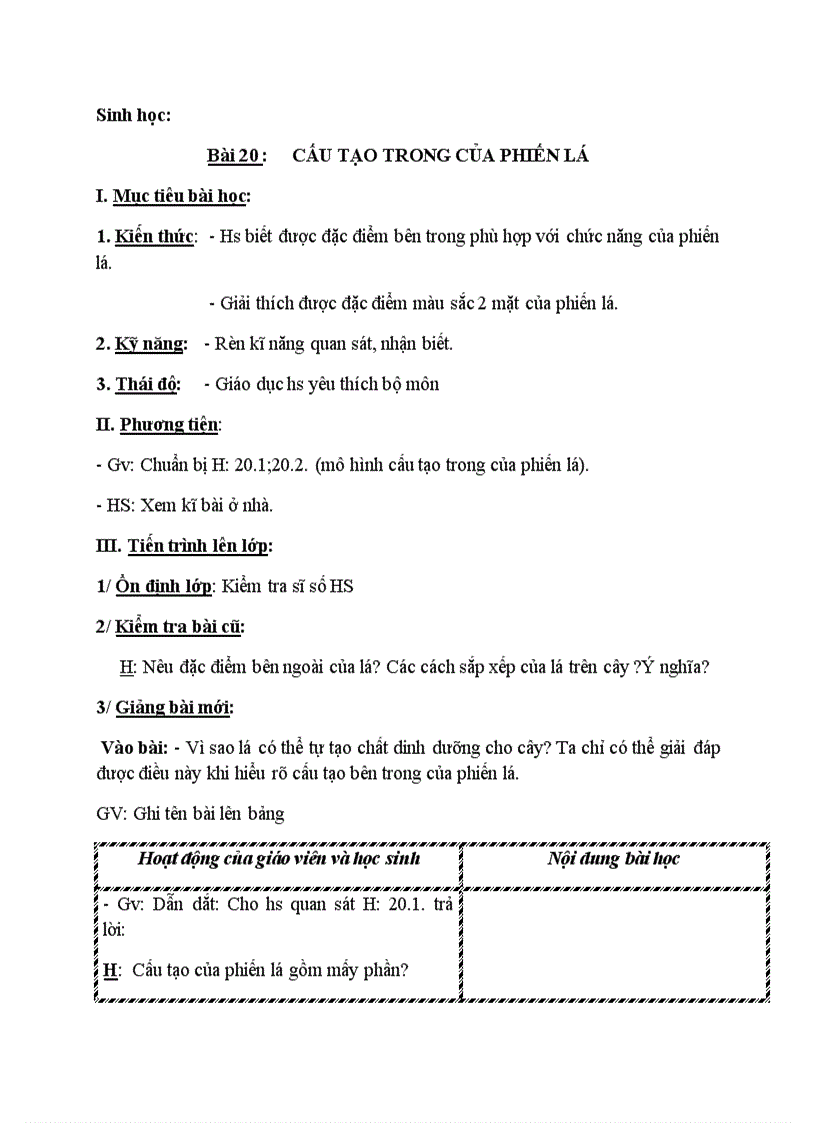 image for page Sinh học CẤU TẠO TRONG CỦA PHIẾN LÁ