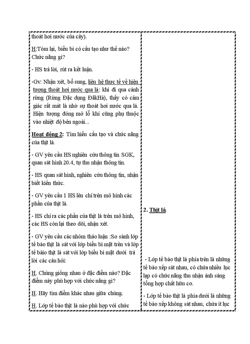 image for page Sinh học CẤU TẠO TRONG CỦA PHIẾN LÁ