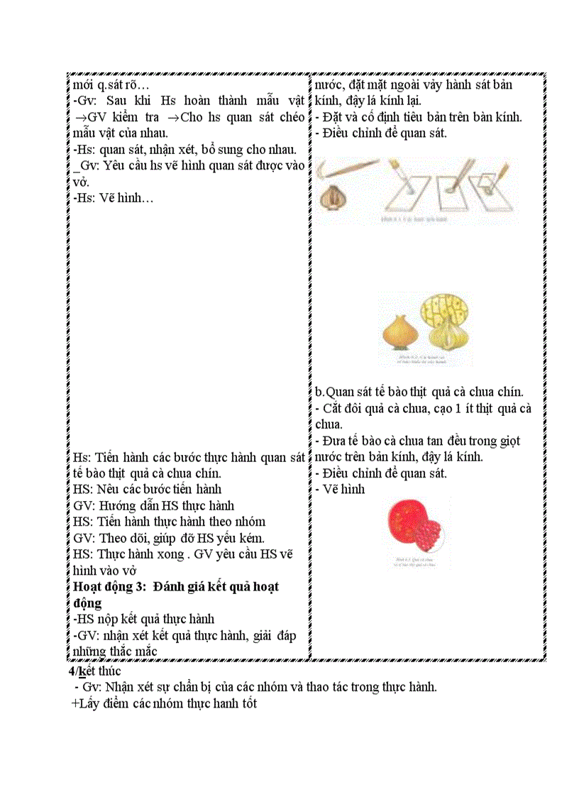 image for page Sinh học QUAN SÁT TẾ BÀO THỰC VẬT