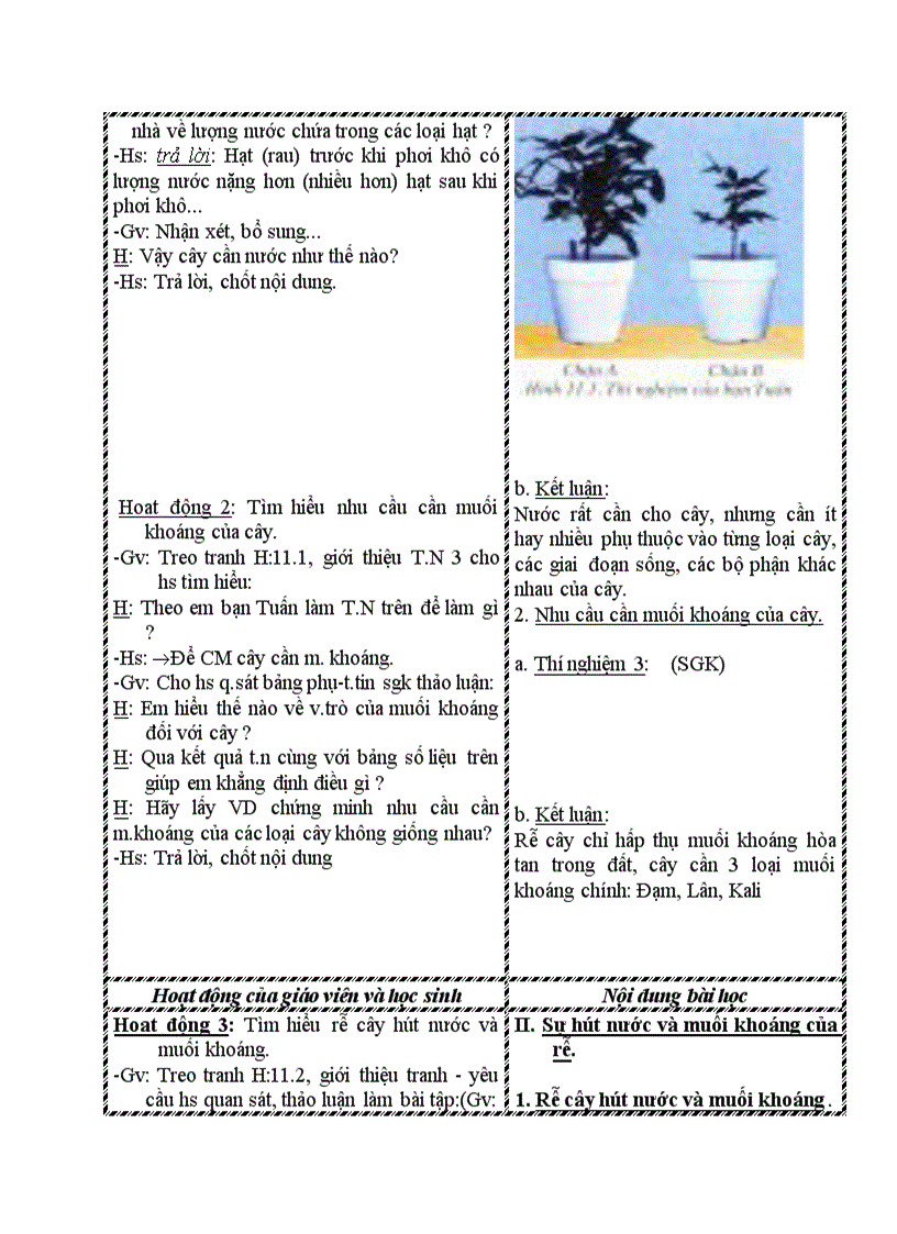 image for page Sinh học SỰ HÚT NƯỚC VÀ MUỐI KHOÁNG CỦA RỄ