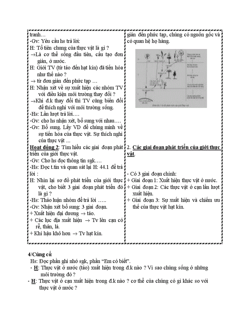 image for page Sinh học SỰ PHÁT TRIỂN CỦA GIỚI THỰC VẬT