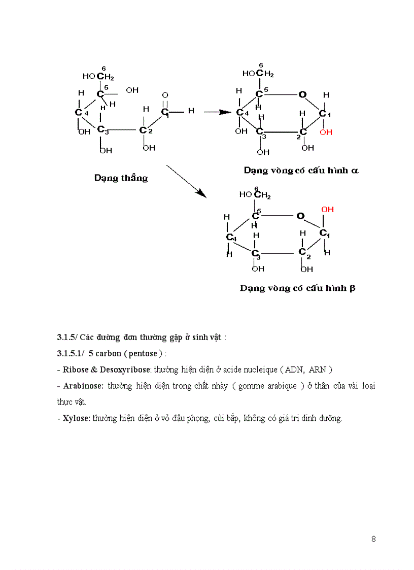 image for page Sinh hóa đại cương
