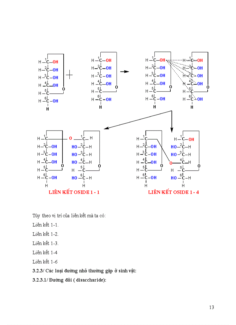 image for page Sinh hóa đại cương