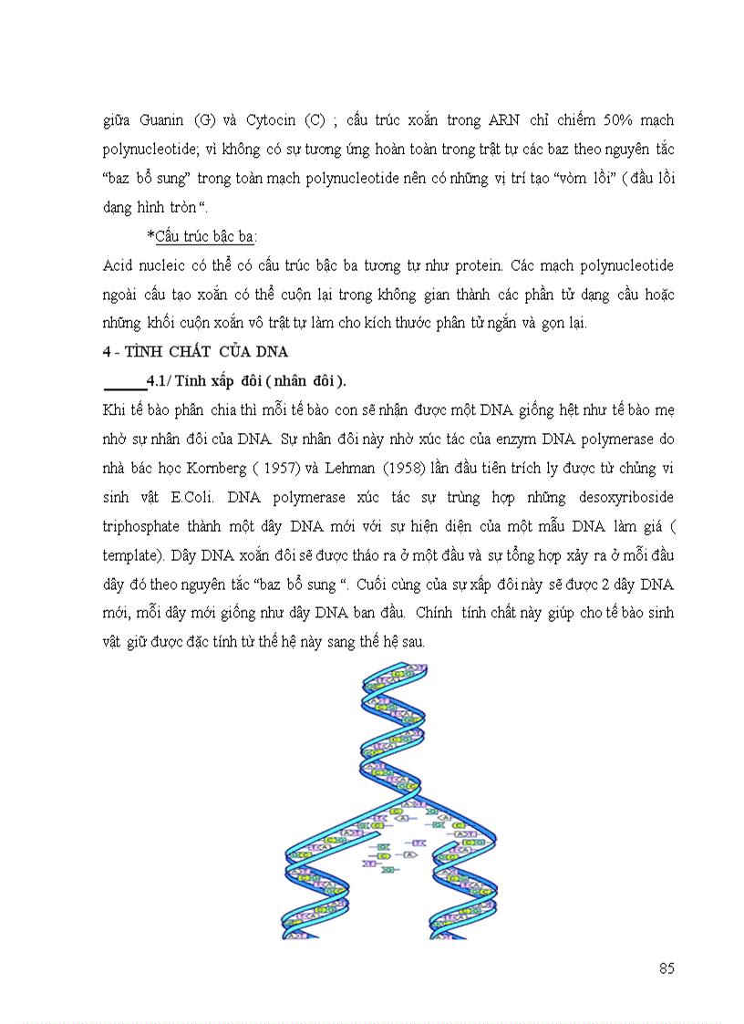 image for page Sinh hóa đại cương