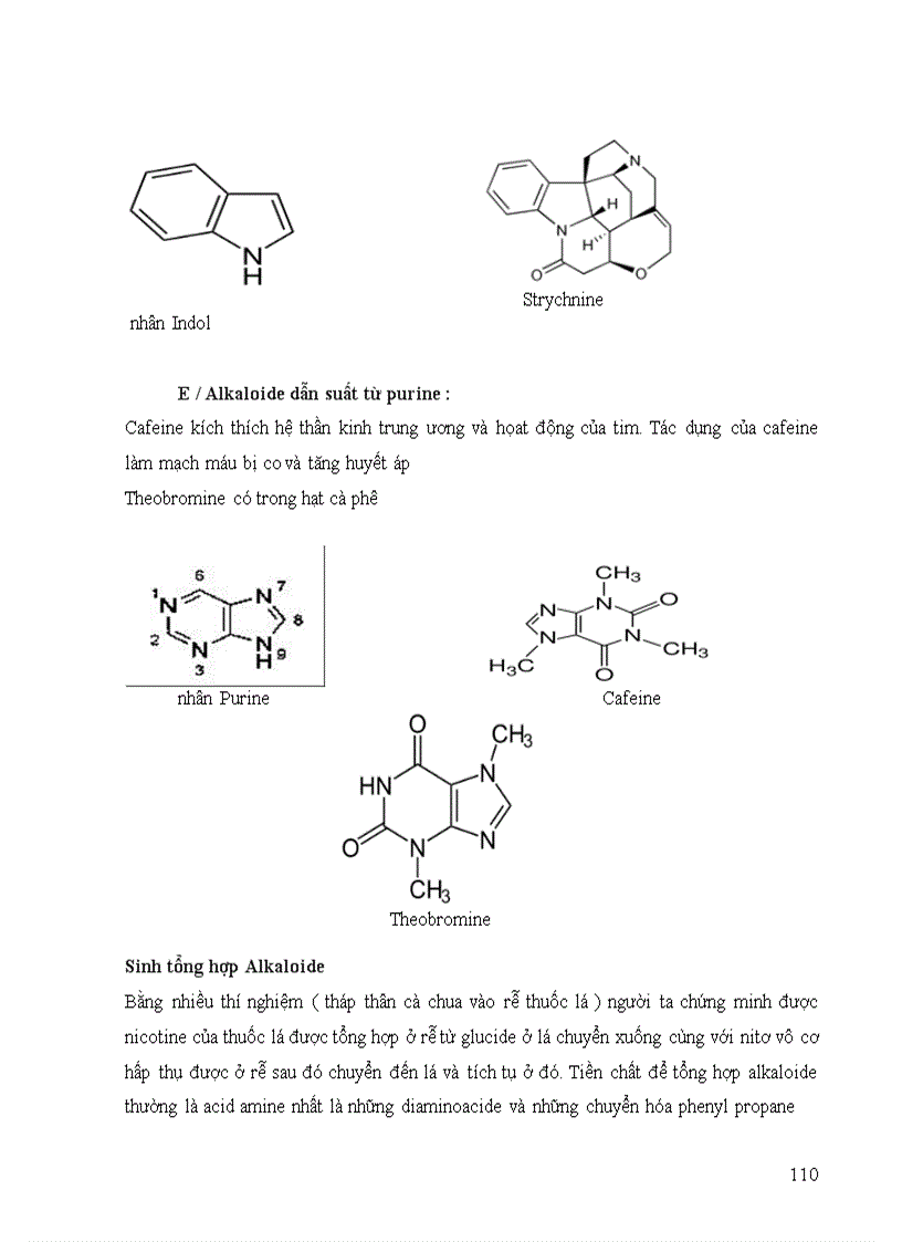 image for page Sinh hóa đại cương