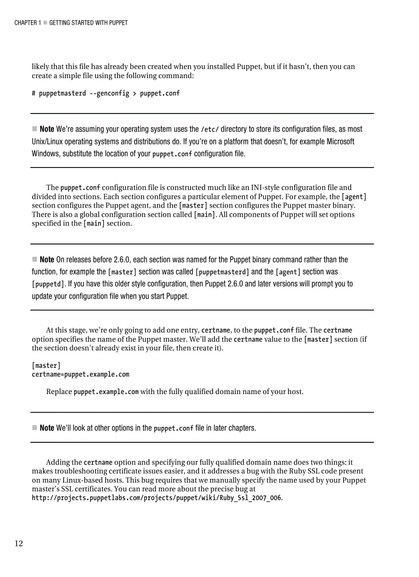 image for page Puppet