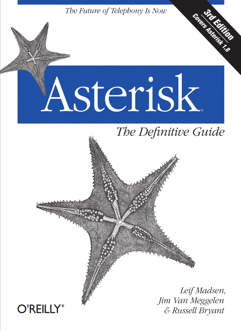 image for page Asterisk The Definitive Guide