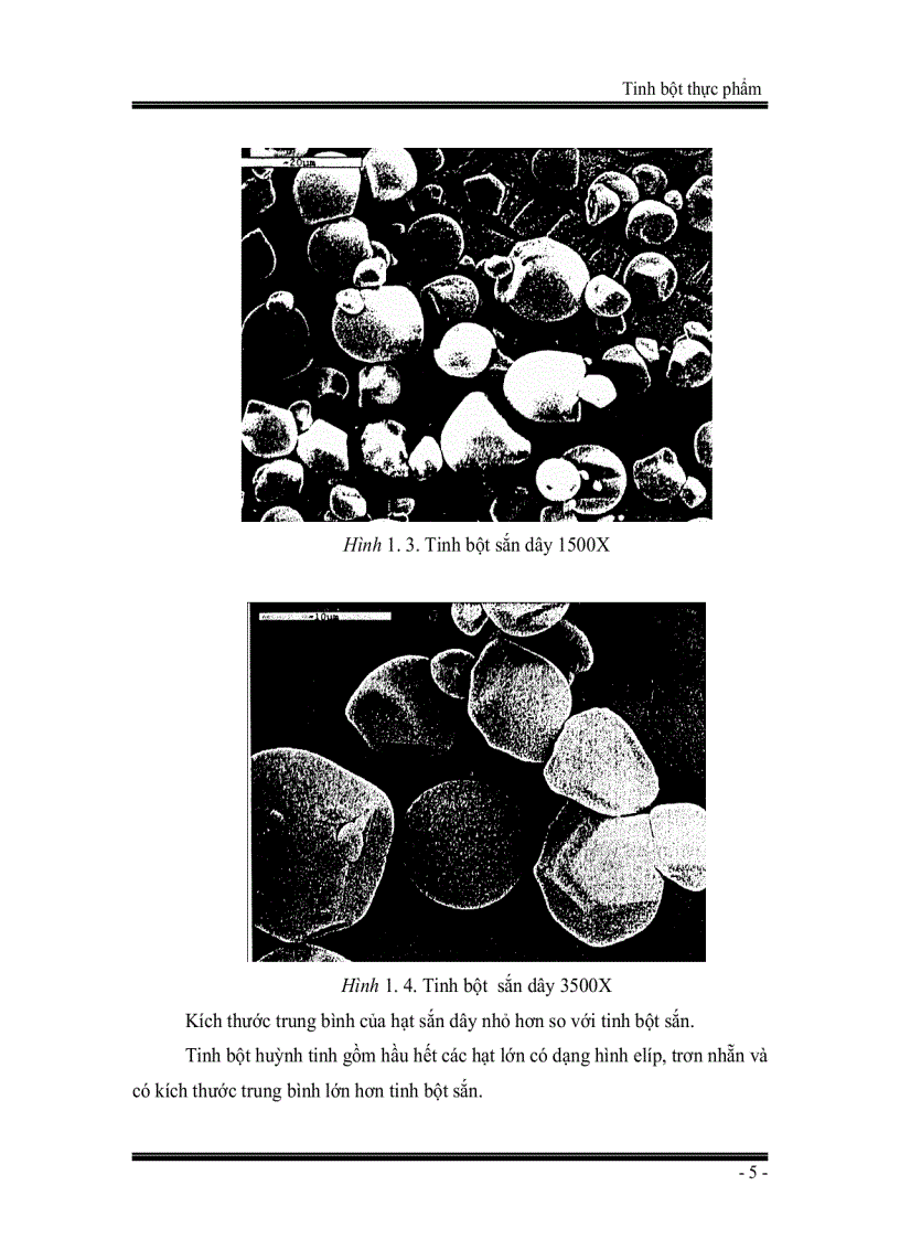 image for page Giáo trình Tinh bột thực phẩm