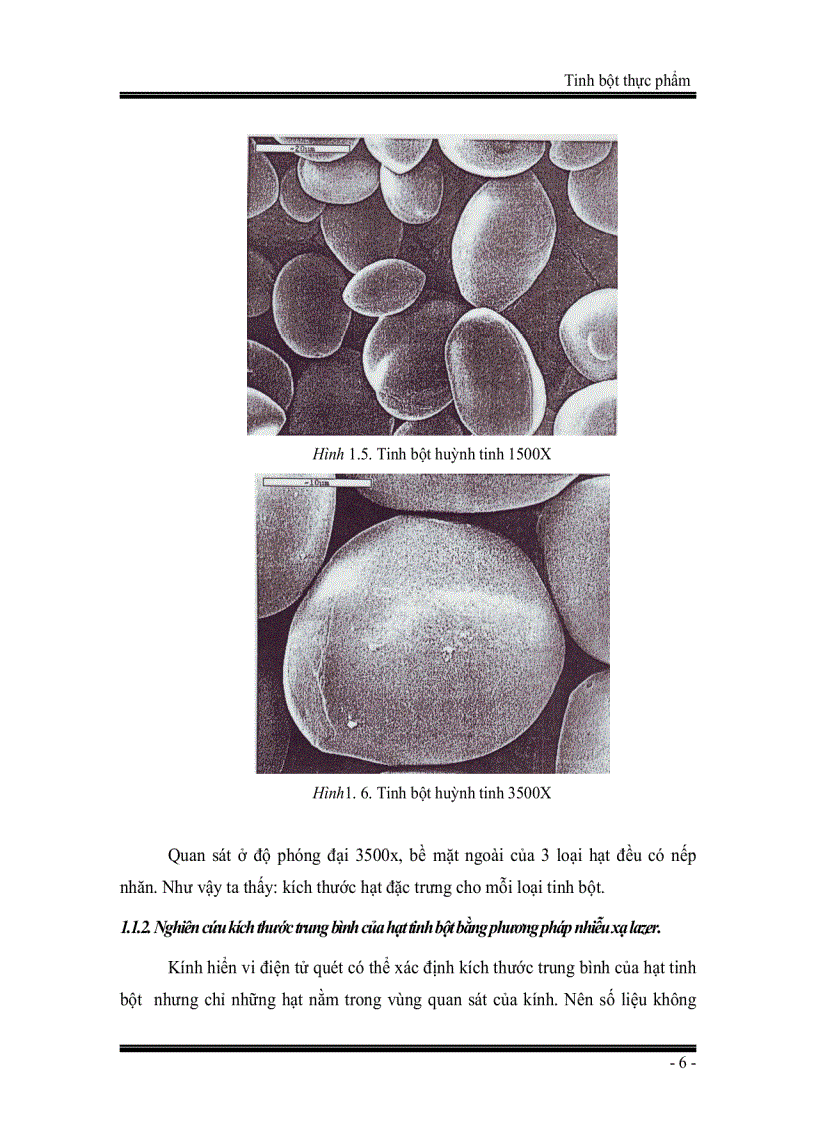 image for page Giáo trình Tinh bột thực phẩm