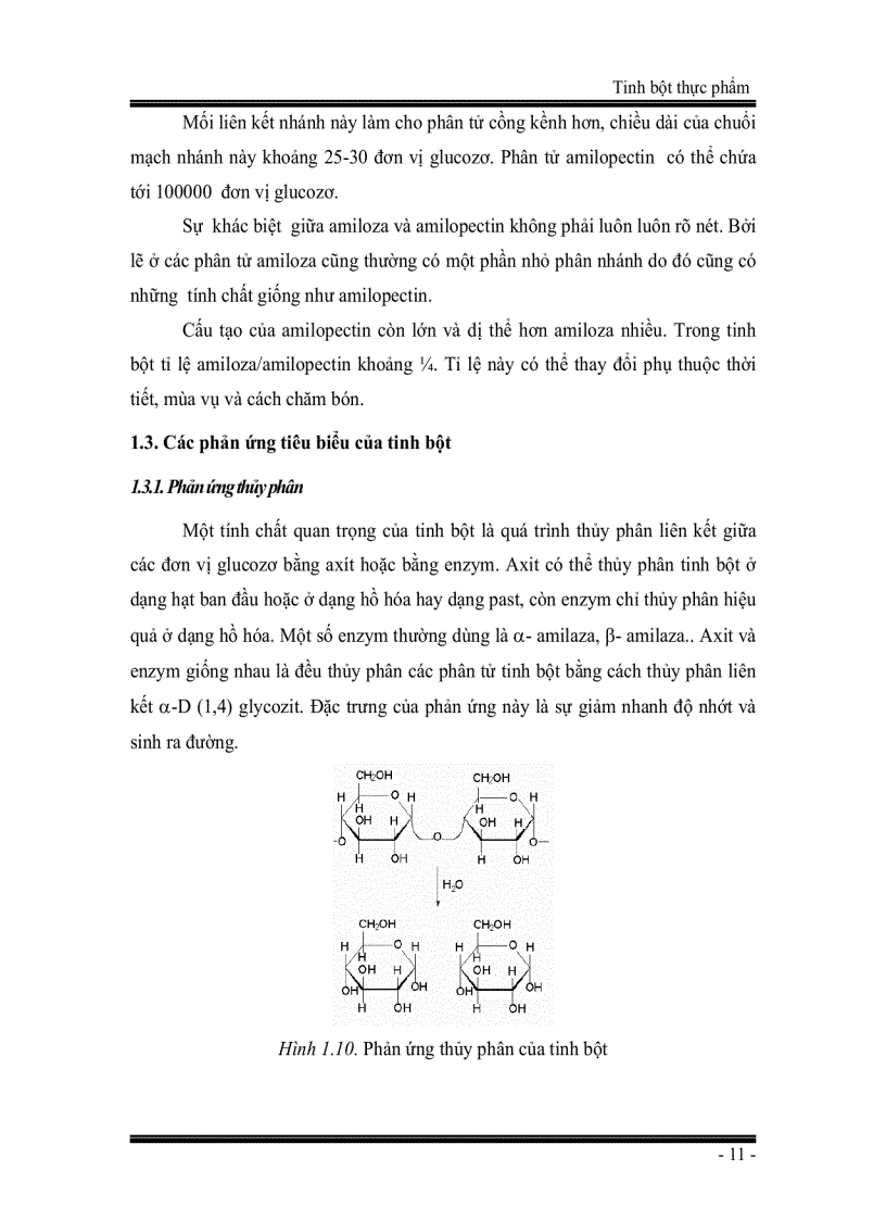image for page Giáo trình Tinh bột thực phẩm