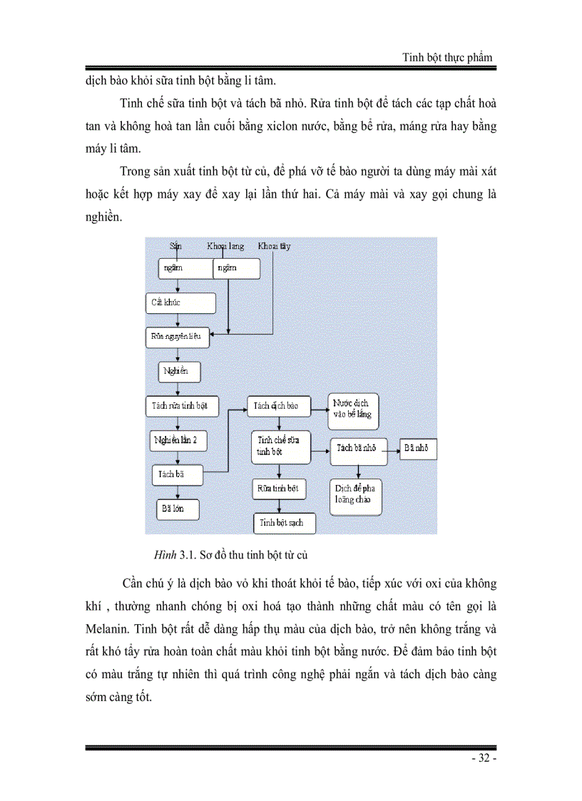 image for page Giáo trình Tinh bột thực phẩm