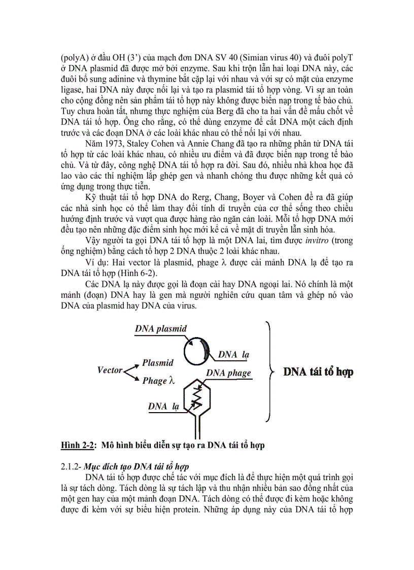 image for page Bài giảng CNSH đại cương