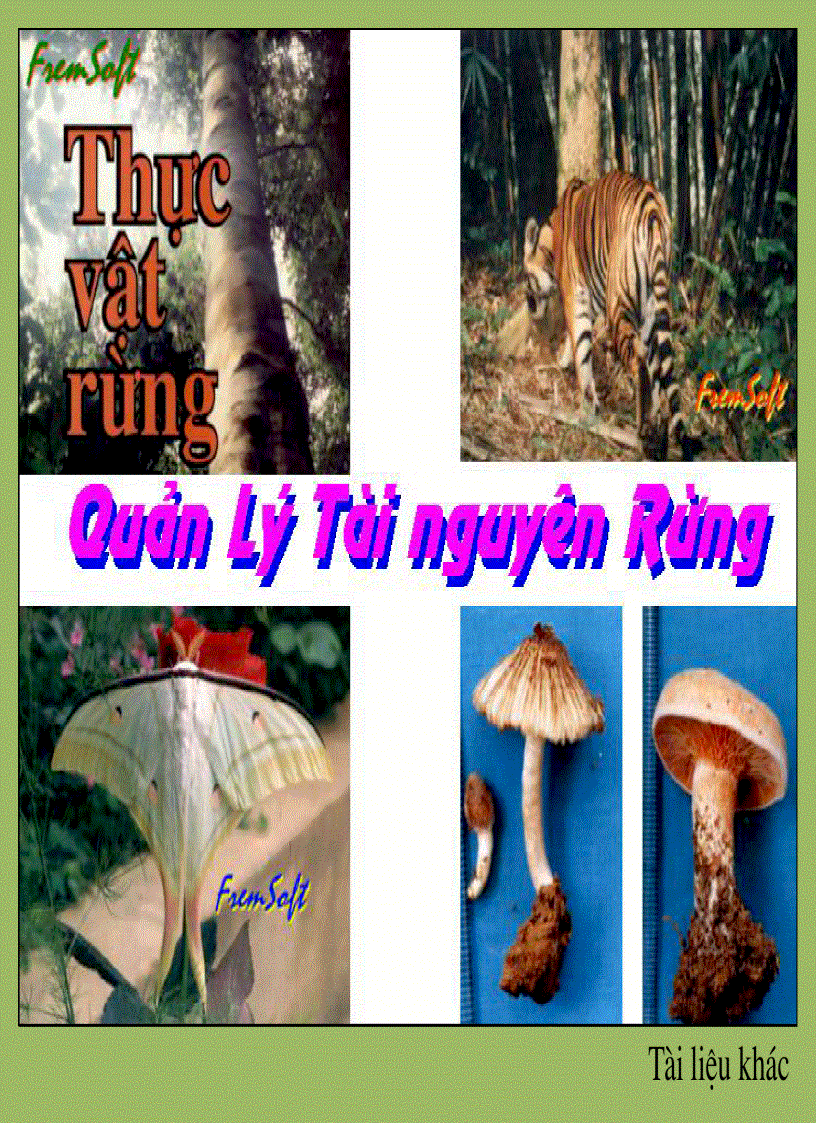 image for page Bài giảng môn học Thực vật rừng