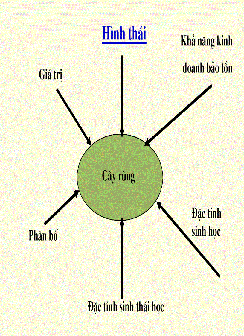 image for page Bài giảng môn học Thực vật rừng