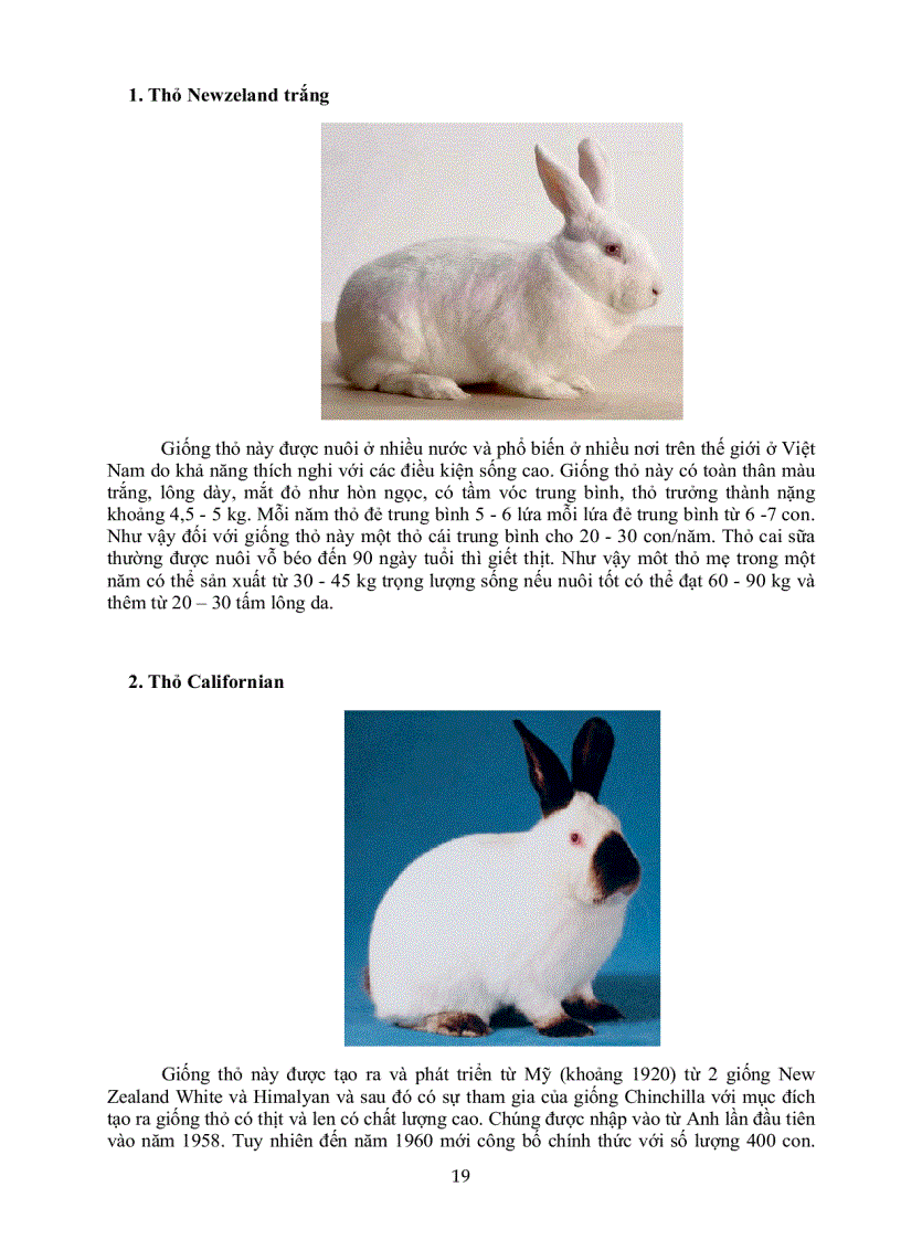 image for page Giáo trình chăn nuôi thỏ