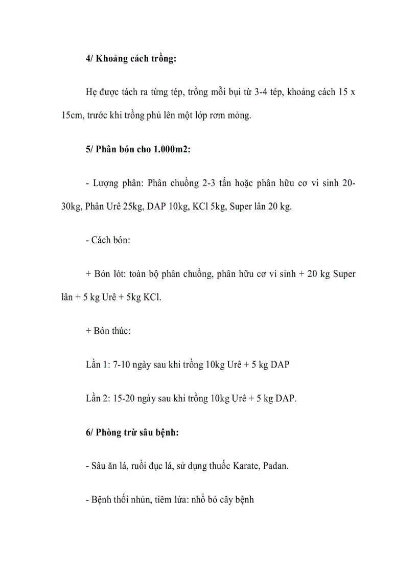 image for page Kỹ thuật trồng cây Hẹ