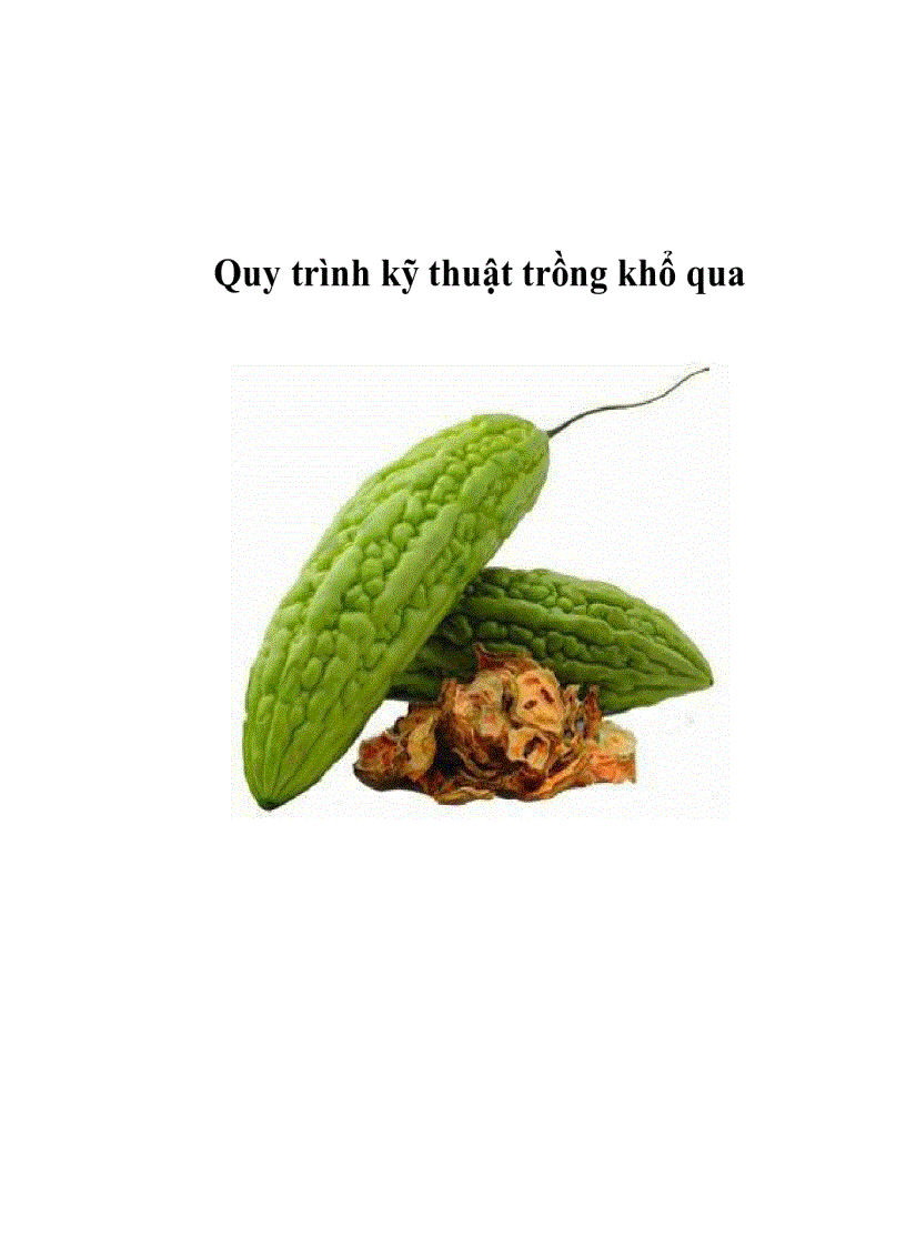 image for page Quy trình kỹ thuật trồng khổ qua