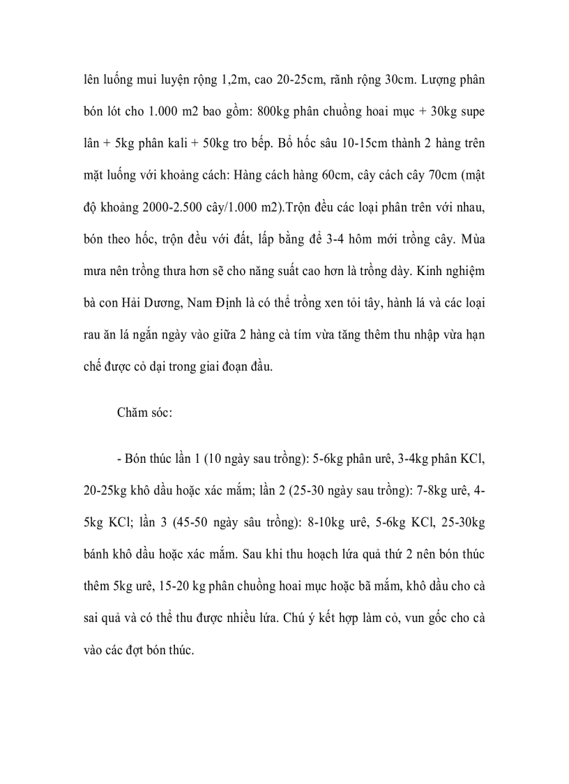 image for page Kỹ thuật gieo ươm trồng và chăm sóc cây cà tím