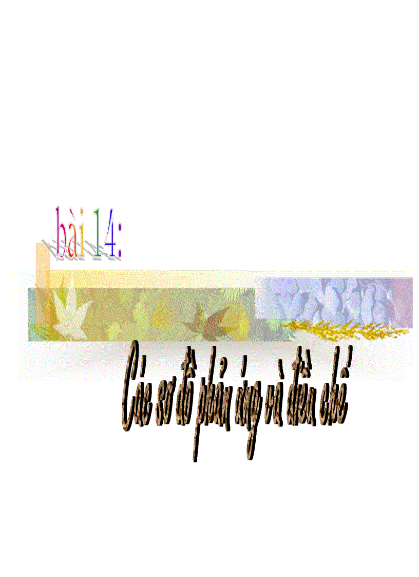 image for page Sơ đồ phản ứng và điều chế hóa vô cơ