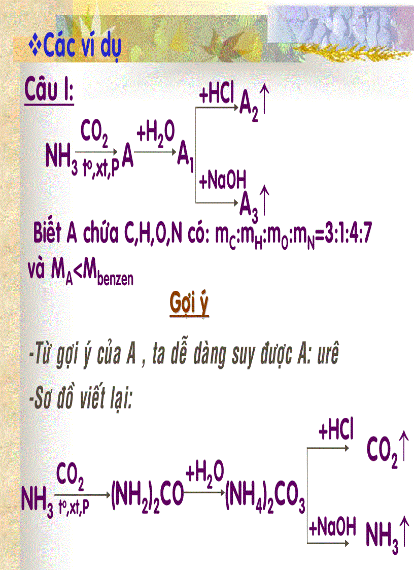image for page Sơ đồ phản ứng và điều chế hóa vô cơ