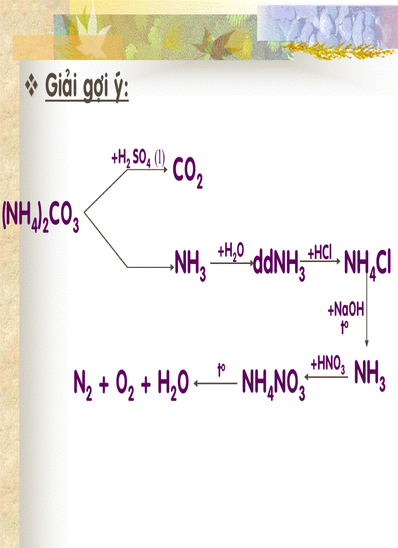 image for page Sơ đồ phản ứng và điều chế hóa vô cơ