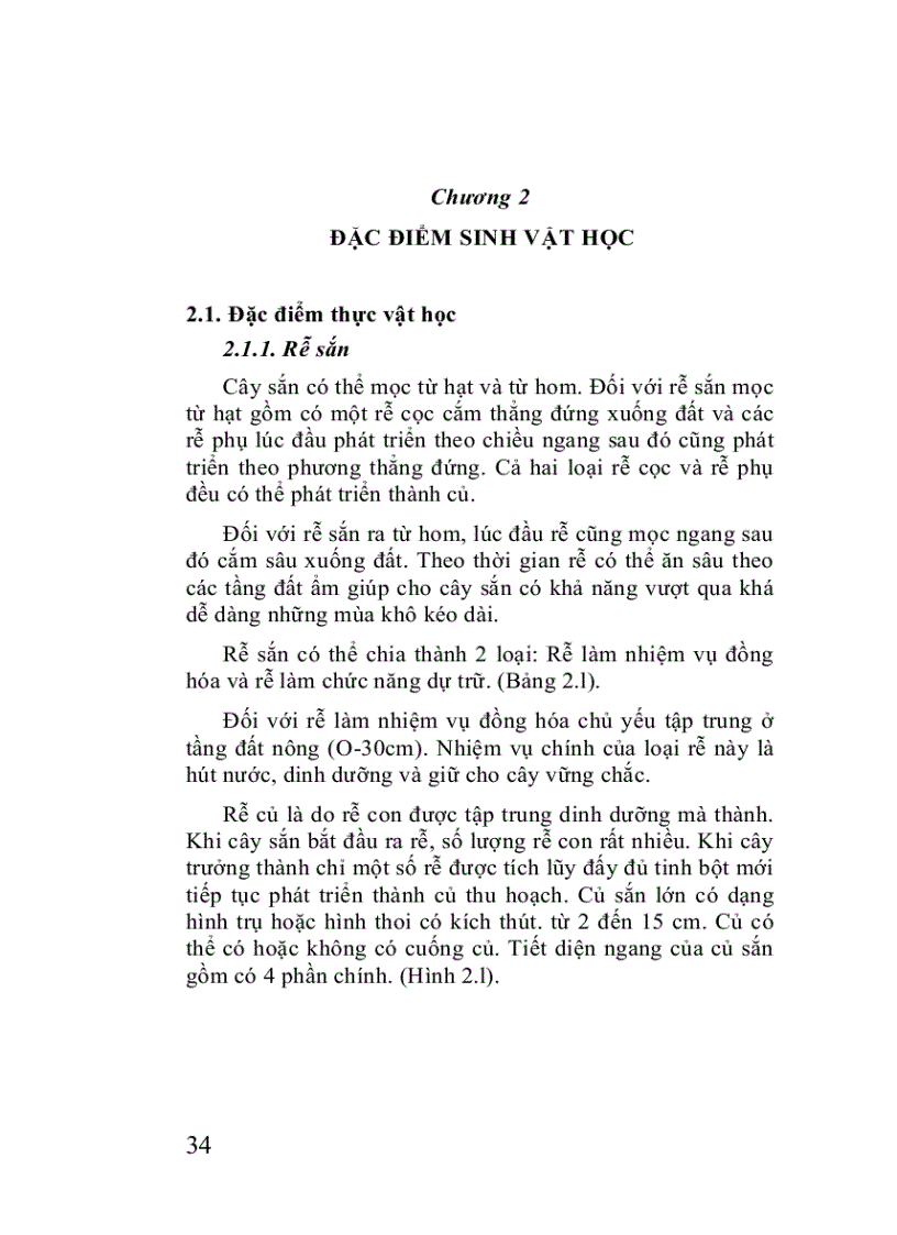 image for page Cây sắn