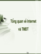 Bài giảng về Internet và TMĐT
