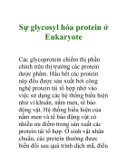 Sự glycosyl hóa protein ở Eukaryote