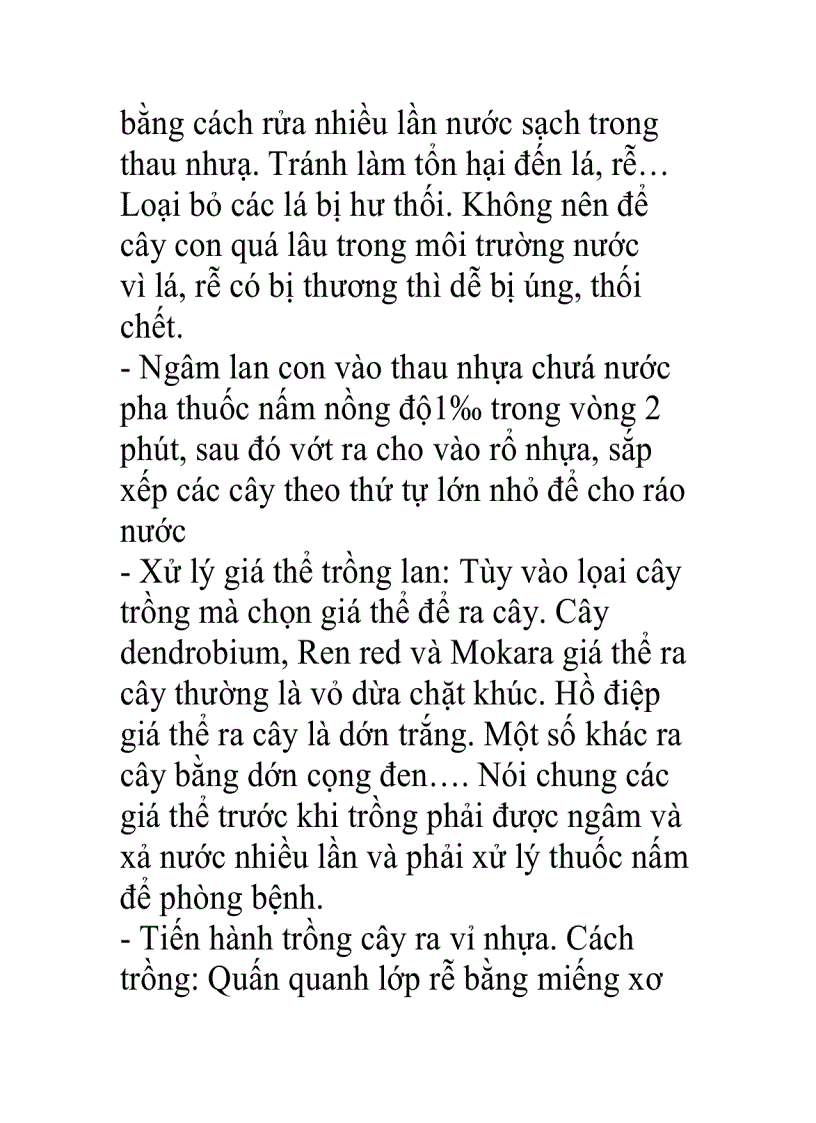 Thuần hóa và chăm sóc cây con nuôi cấy mô ngòai vườn ươm