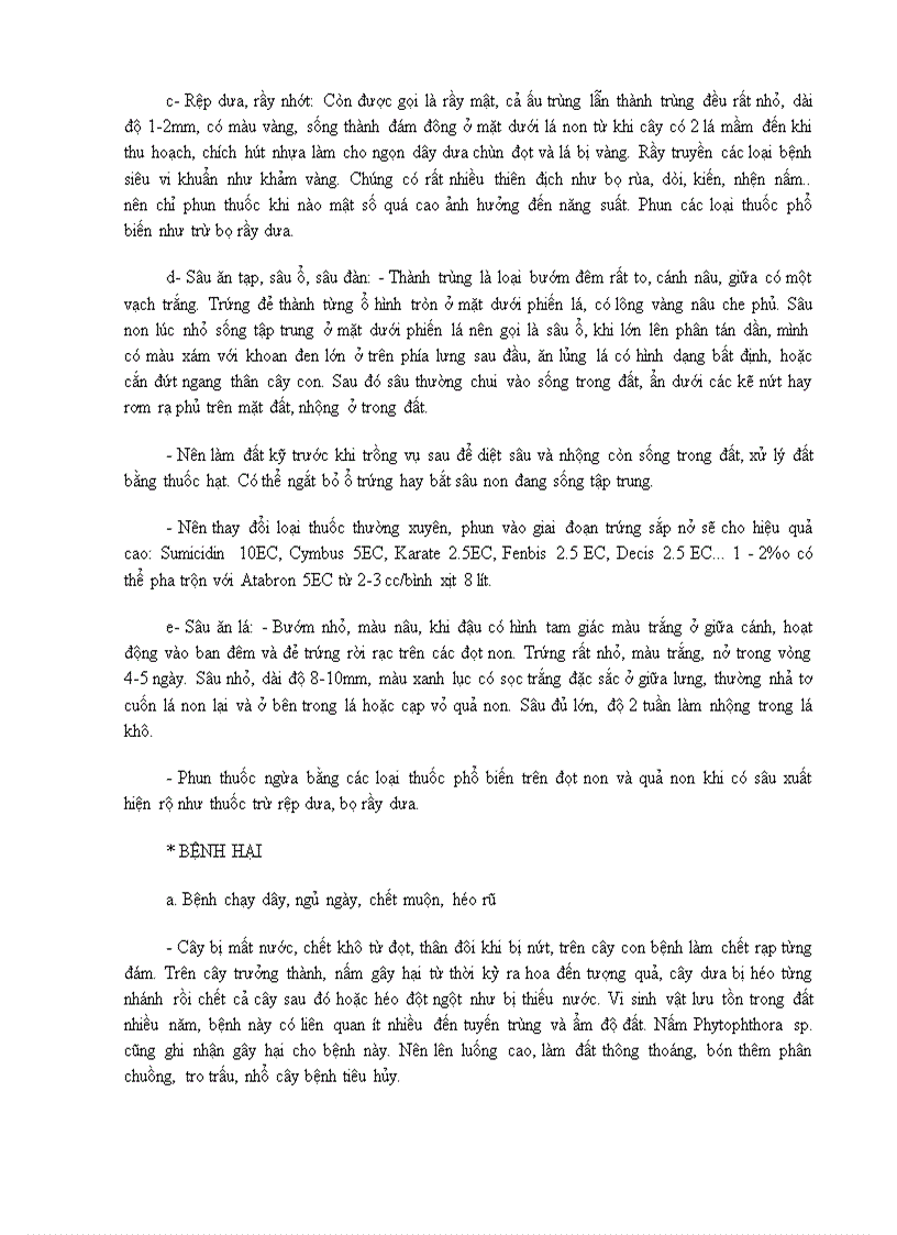 image for page Kỹ thuật trồng và chăm sóc Dưa hấu