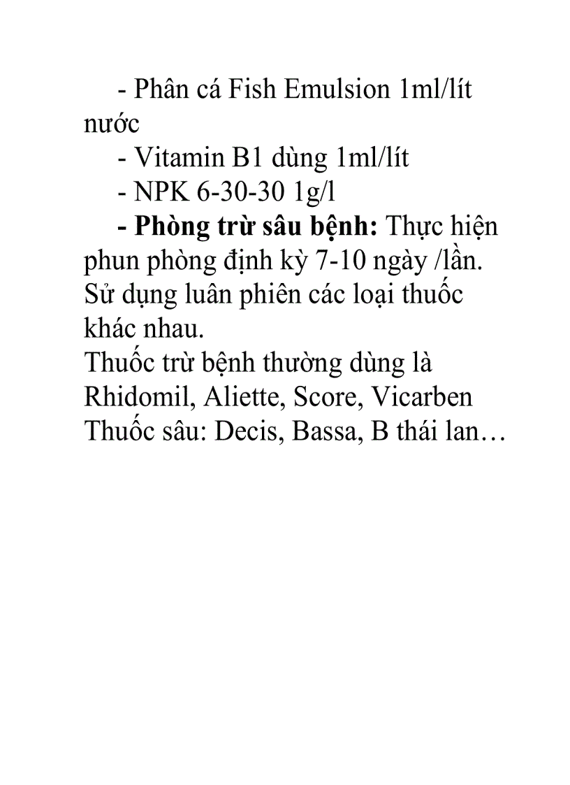 image for page Trồng và chăm sóc lan Dendrobium