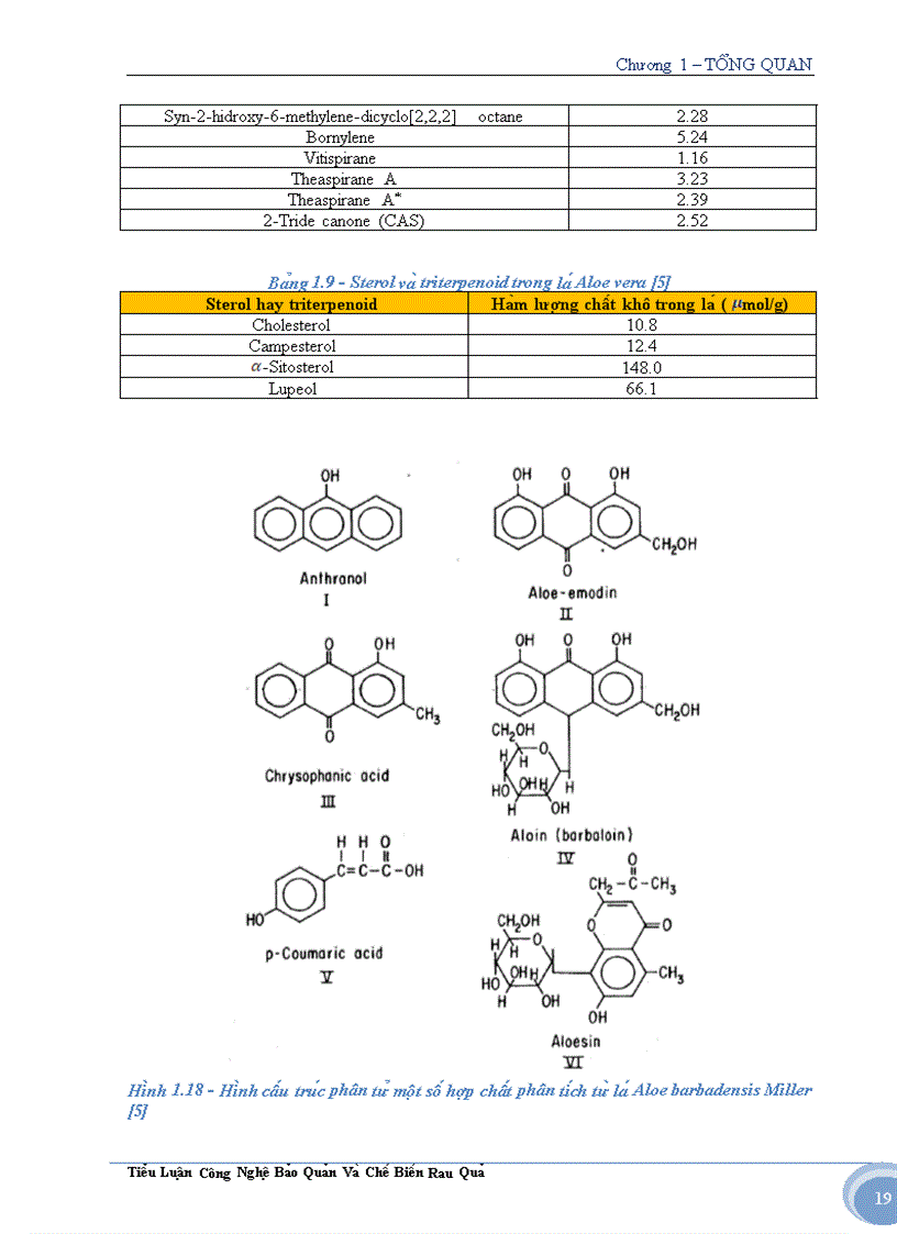 image for page Tìm hiểu về cây nha đam và ứng dụng trong sản xuất thực phẩm
