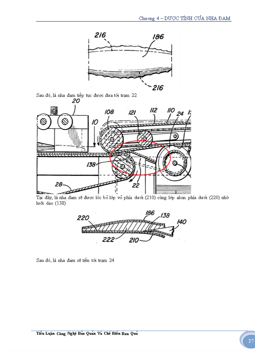 image for page Tìm hiểu về cây nha đam và ứng dụng trong sản xuất thực phẩm