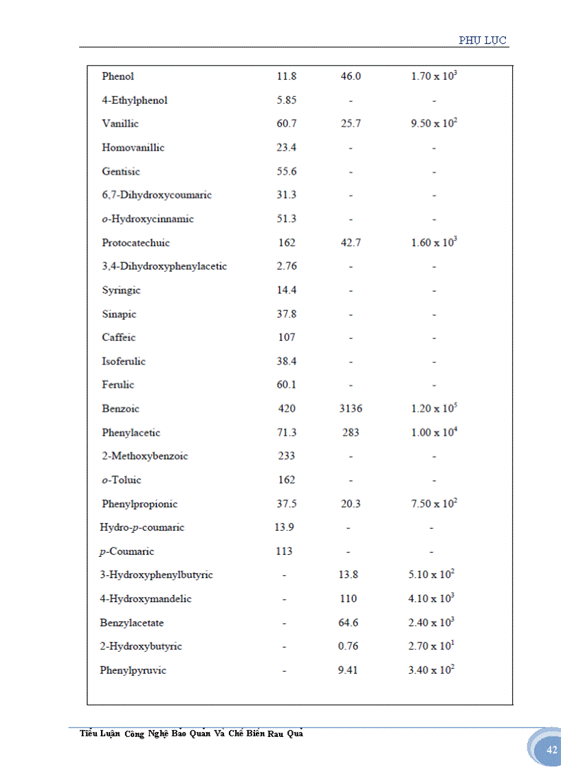 image for page Tìm hiểu về cây nha đam và ứng dụng trong sản xuất thực phẩm