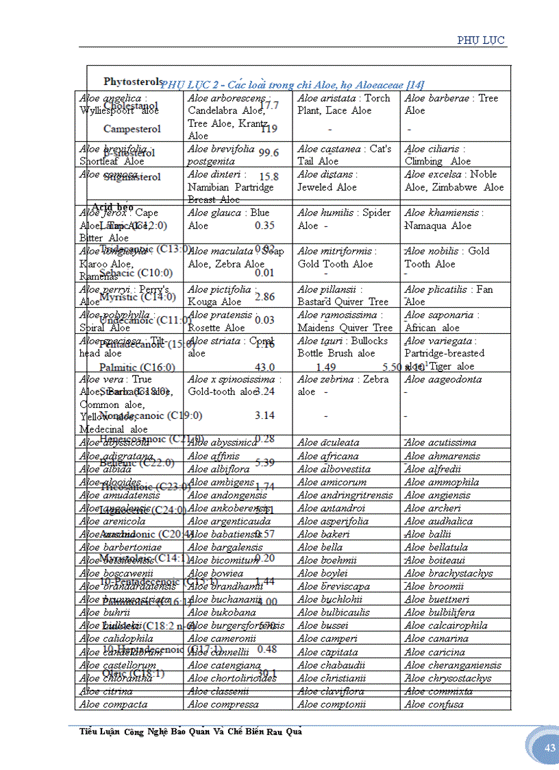 image for page Tìm hiểu về cây nha đam và ứng dụng trong sản xuất thực phẩm