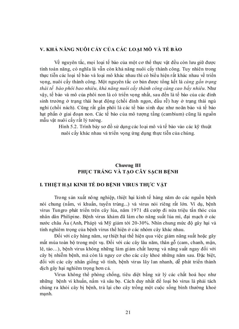 image for page Ứng dụng công nghệ sinh học trong chọn giống