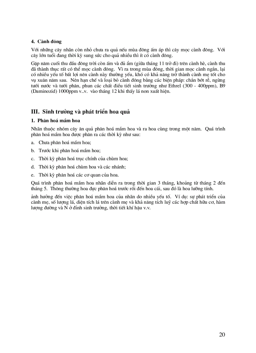 image for page Kỹ thuật trồng và chăm sóc cây nhãn